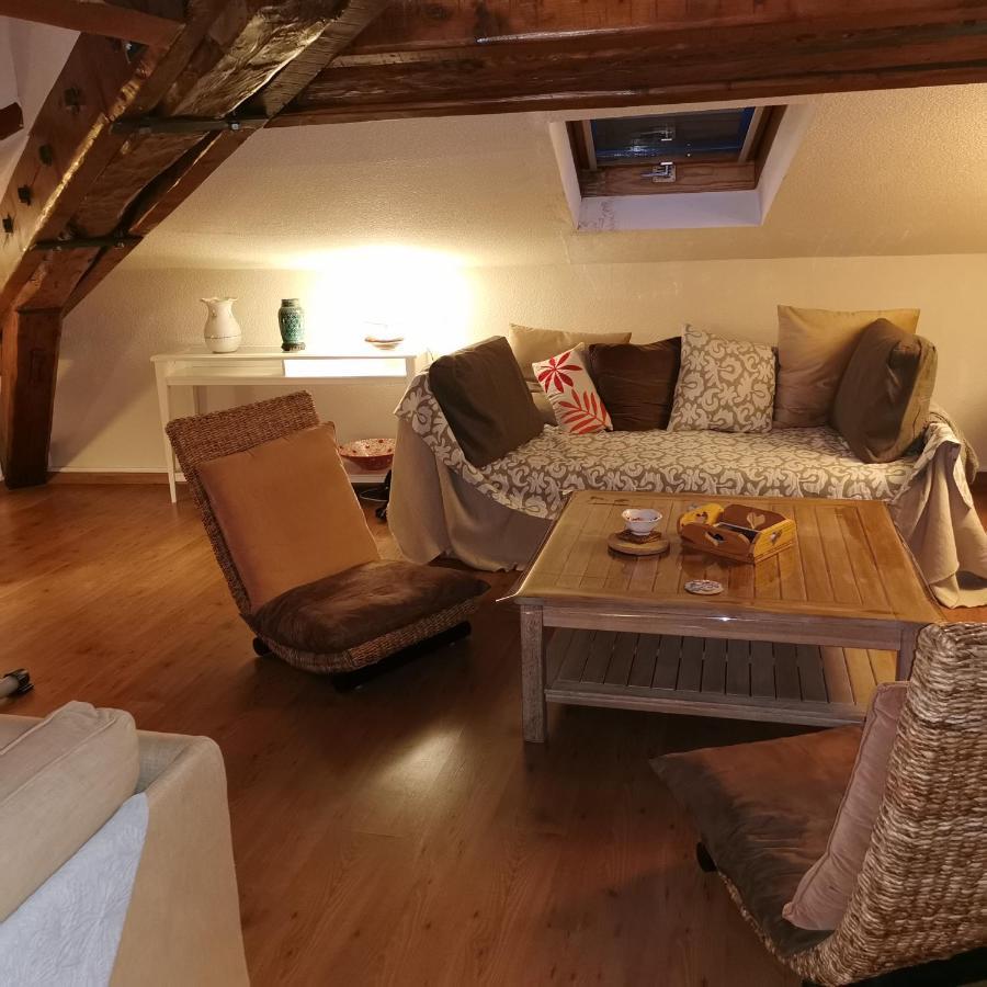 Cosy And Calm In Grenoble City Heart With Free And Large Parking Q-Park Chavant Esterno foto